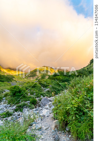 從矢澤登山道眺望晨曦中的中岳。攀登矢澤的御桐渡線。 從矢澤登山道眺望晨曦中的中岳。攀登矢澤的御桐渡線。 134847086