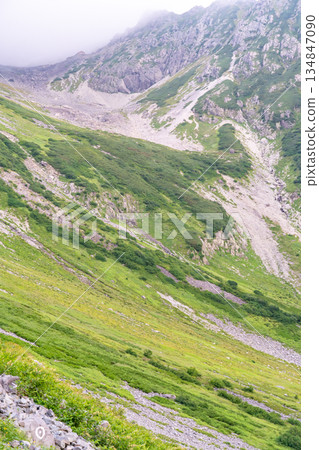 The green band of Yarisawa seen from Tenguhara. Climbing the Okirito traverse from Yarisawa 134847090