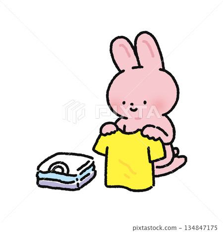 Rabbit folding laundry 134847175