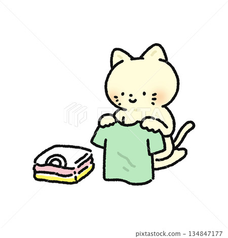 Cat folding laundry 134847177