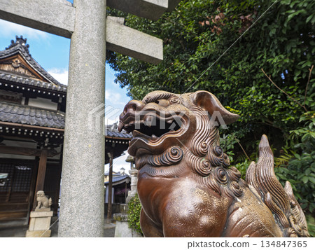 Komainu guarding the sacred grounds of Toribenzan, Kyoto Komainu guarding the sacred grounds of Toribenzan, Kyoto 134847365