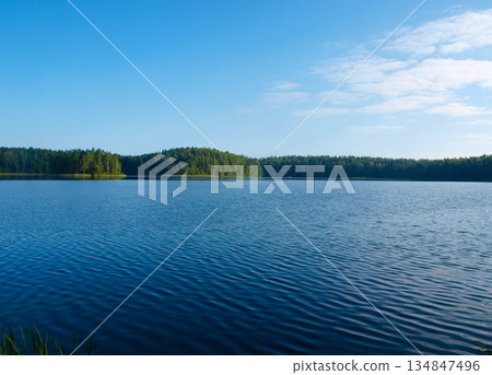 A lake with morning ripples. Front face composition.  The forest of the island is a serene morning. 134847496