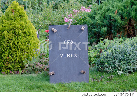 A dark grey sign that reads CEO VIBES stands on green grass. The sign has rope accents, surrounded by various plants and flowers in a garden setting during daylight 134847517
