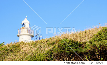 Winter in Jogashima, the southernmost point of Kanagawa Prefecture 134848590