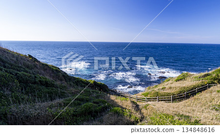 Winter in Jogashima, the southernmost point of Kanagawa Prefecture Winter in Jogashima, the southernmost point of Kanagawa Prefecture 134848616