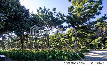 神奈川縣最南端城島的冬季 神奈川縣最南端城島的冬季 134848624