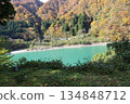 Kurobe Railway: The cobalt-colored Kurobe River and the mountains dyed in autumn leaves as seen from the trolley train 134848712