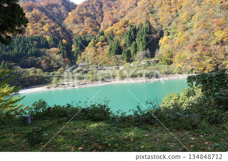 黑部鐵道:從電車上望去,鈷藍色的黑部川和秋色斑斕的山巒盡收眼底。 黑部鐵道:從電車上望去,鈷藍色的黑部川和秋色斑斕的山巒盡收眼底。 134848712