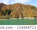Kurobe Railway: The cobalt-colored Kurobe River and the mountains dyed in autumn leaves as seen from the trolley train 134848713