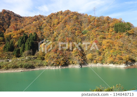 黑部鐵道：從電車上望去，鈷藍色的黑部川和秋色斑斕的山巒盡收眼底。 134848713
