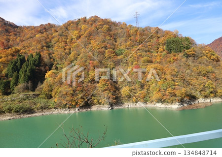 Kurobe Railway: The cobalt-colored Kurobe River and the mountains dyed in autumn leaves as seen from the trolley train Kurobe Railway: The cobalt-colored Kurobe River and the mountains dyed in autumn leaves as seen from the trolley train 134848714
