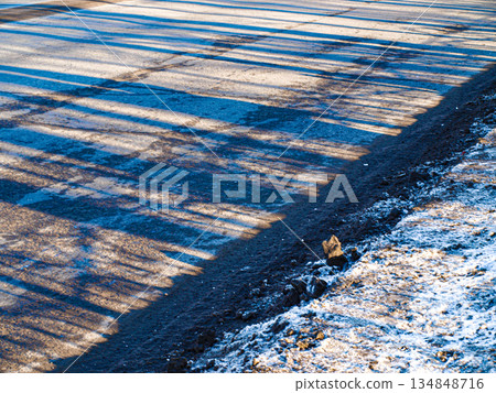 Spring thaw, a road with snow and purple transparent shadows with a fine stripe. Roadside, diagonal composition Spring thaw, a road with snow and purple transparent shadows with a fine stripe. Roadside, diagonal composition 134848716
