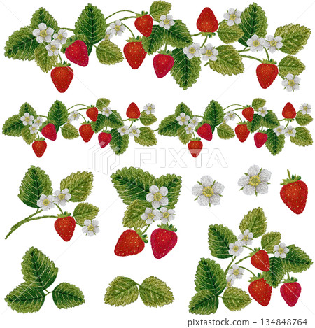 【草莓圖案及線條組】手工刺繡插畫素材 134848764