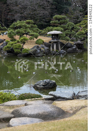 秋末清澄庭園景色 秋末清澄庭園景色 134849222