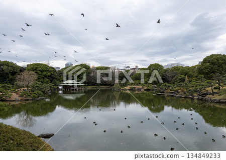Scenery of Kiyosumi Garden in late autumn 134849233