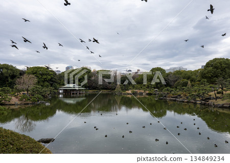 Scenery of Kiyosumi Garden in late autumn Scenery of Kiyosumi Garden in late autumn 134849234