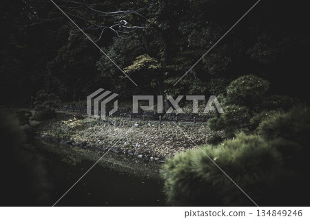 秋末清澄庭園景色 秋末清澄庭園景色 134849246