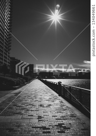 冬日的藍天和從豐洲晴海運河看到的景色 134849661