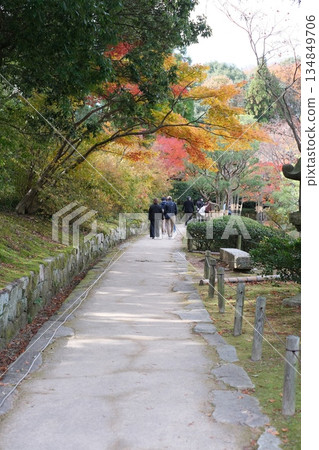 Sankeien Garden promenade and autumn leaves Sankeien Garden promenade and autumn leaves 134849706