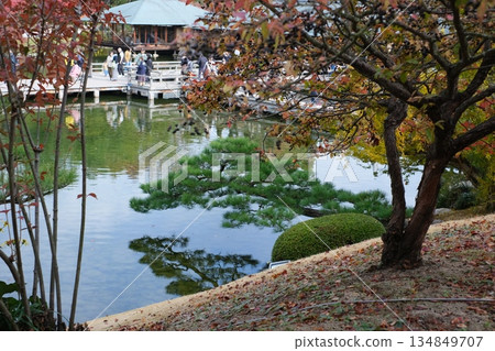 三溪園池塘景色 134849707