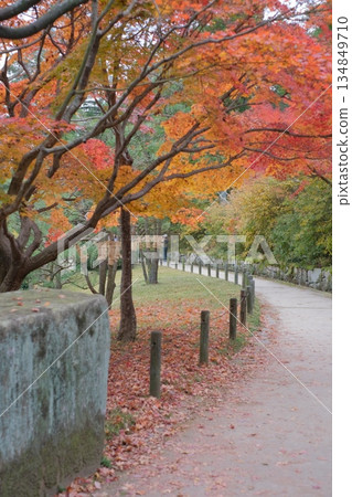 Sankeien Garden promenade and autumn leaves Sankeien Garden promenade and autumn leaves 134849710