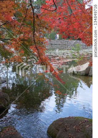 Autumn leaves of Sanjyukuen Autumn leaves of Sanjyukuen 134849716
