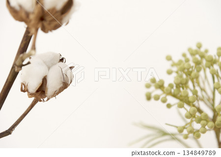 Background image of dried flowers Background image of dried flowers 134849789