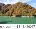 Kurobe Gorge Railway: View of the cobalt-colored Kurobe River and the mountains dyed in autumn leaves from the trolley train 134849847