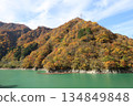 Kurobe Gorge Railway: View of the cobalt-colored Kurobe River and the mountains dyed in autumn leaves from the trolley train 134849848