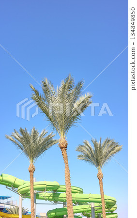 An outdoor water park with palm trees and blue sky, Egypt. 134849850