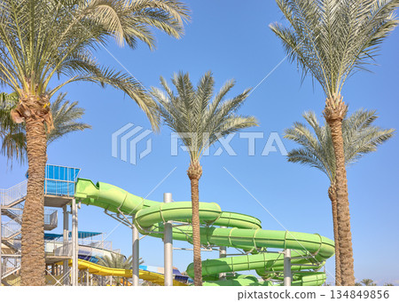 An outdoor water park with palm trees and blue sky, Egypt. An outdoor water park with palm trees and blue sky, Egypt. 134849856