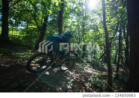 Mountain biker rides through a dense forest on an electric mountain bike, navigating a sunlit trail Mountain biker rides through a dense forest on an electric mountain bike, navigating a sunlit trail 134850063