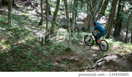 Electric mountain bike rider navigating a forest trail with sunlight and trees Electric mountain bike rider navigating a forest trail with sunlight and trees 134850065