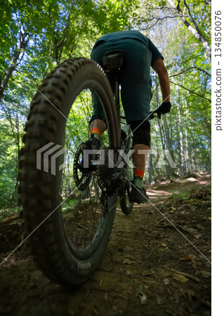Biker on a mountain bike riding through a sunlit forest trail, captured from a low angle behind the rider 134850076