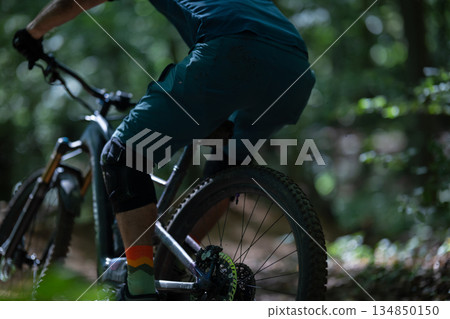 Biker on an electric mountain bike rides through a sunlit forest trail Biker on an electric mountain bike rides through a sunlit forest trail 134850150