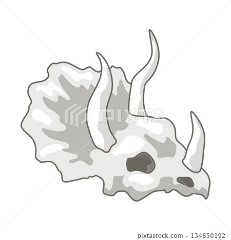 Dinosaurs skeletons parts underground. Fossils, bones of prehistoric reptiles and ammonites Dinosaurs skeletons parts underground. Fossils, bones of prehistoric reptiles and ammonites 134850192