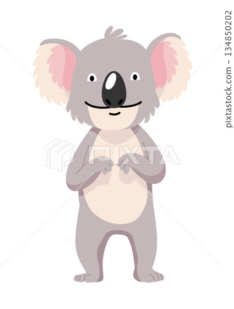 Cute cartoon koala bear isolated on white background Cute cartoon koala bear isolated on white background 134850202