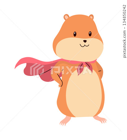 Cartoon hamster. Fluffy domestic pet, funny rodent. Happy home rodent animal. Vector illustration isolated on white background 134850242