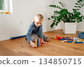 A child sitting on a wooden floor surrounded by a large building set, assembling colorful pieces in a bright home environment. Perfect for themes of early learning, creativity, family life and 134850715