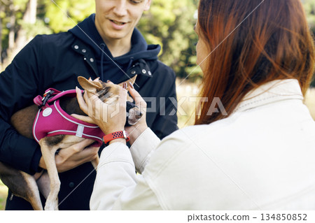 young couple walking with dogs, lifestyle people concept 134850852