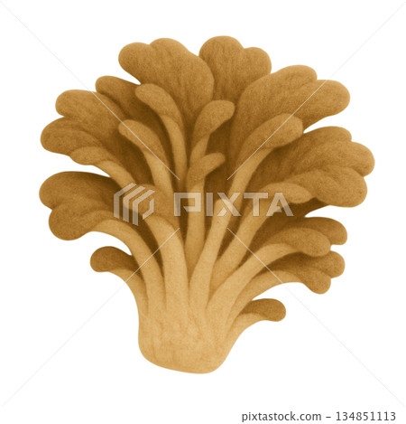 [Mushrooms] Felt-style Maitake mushroom illustration 134851113