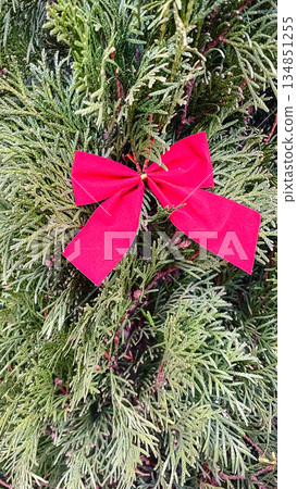 Close-up of a bright red decorative bow on green thuja branches in a winter garden. 134851255