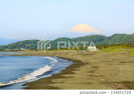 從平塚漁港眺望神聖的富嶽山…[富士山] 134851729