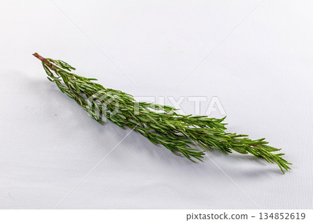 Rosemary green branch aroma for cooking Rosemary green branch aroma for cooking 134852619