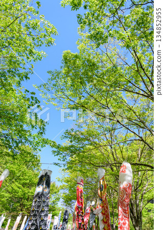 春季宮城七宿鯉魚擬餌 134852955