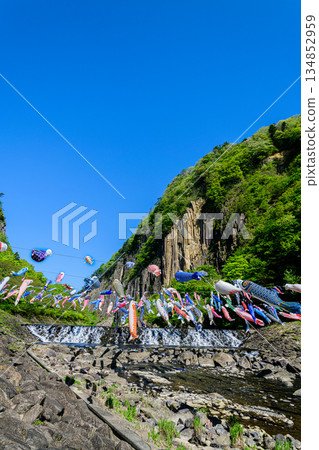 春季宮城七宿鯉魚擬餌 春季宮城七宿鯉魚擬餌 134852959