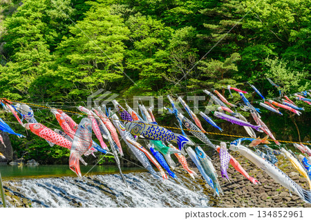 春季宮城七宿鯉魚擬餌 春季宮城七宿鯉魚擬餌 134852961