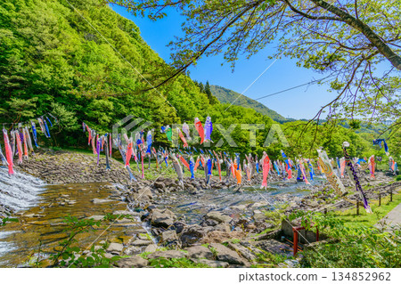 春季宮城七宿鯉魚擬餌 134852962