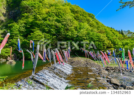 春季宮城七宿鯉魚擬餌 134852963