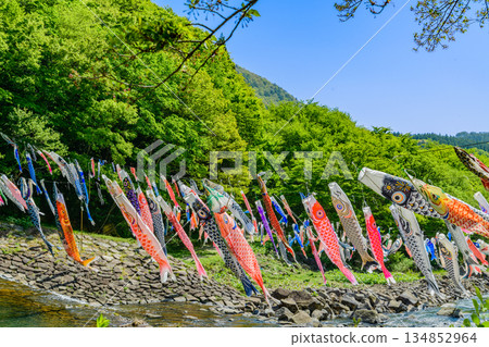 春季宮城七宿鯉魚擬餌 134852964